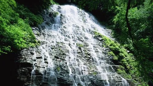 环保智能先进